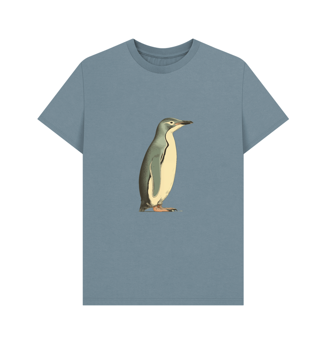 Stone Blue Printed T-shirt Front